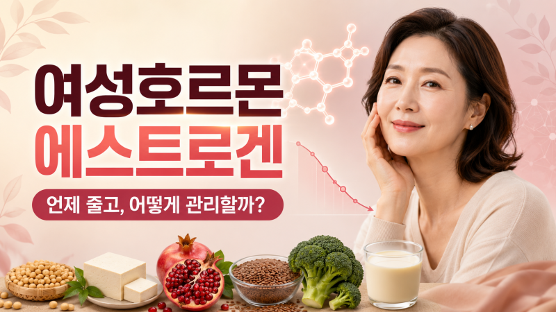 중장년 건강 리포트_여성호르몬 완벽 정리