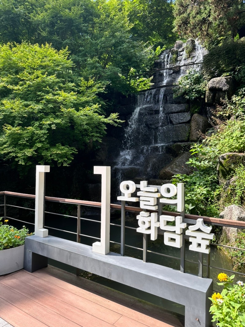 여름 화담숲은 처음이지? 초록빛 숲 200% 즐기기