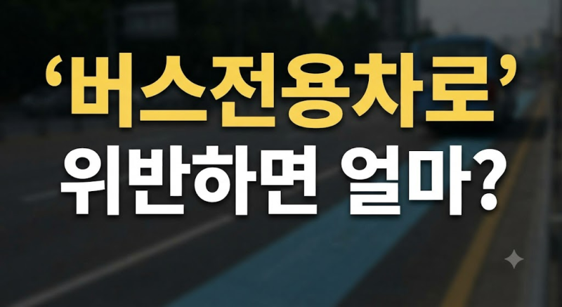 고속도로·시내 버스전용차로 시간과 위반 과태료 차이 총정리
