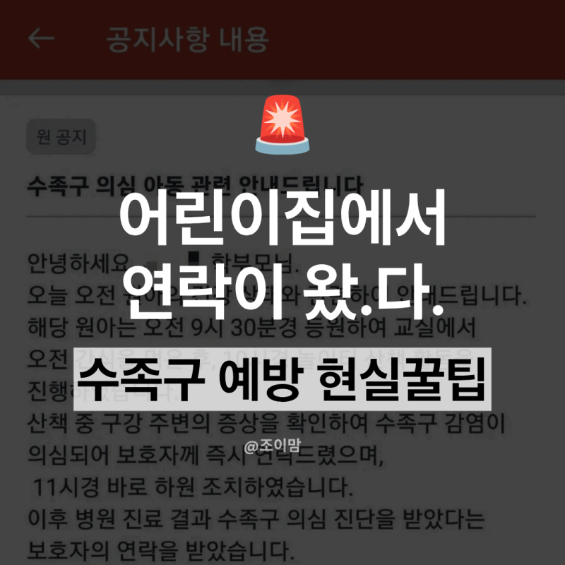 수족구예방 총정리 | 수족구 유행시기 워킹맘이 실제로 하는 것들