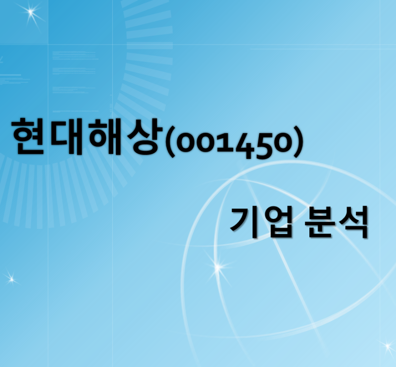 현대해상(001450) 기업 분석