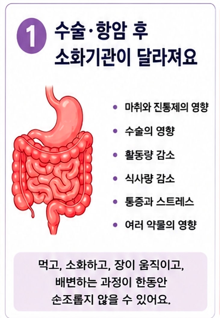 난소암 수술 항암 후 후유증☆ 소화불량·변비·가스.장폐색