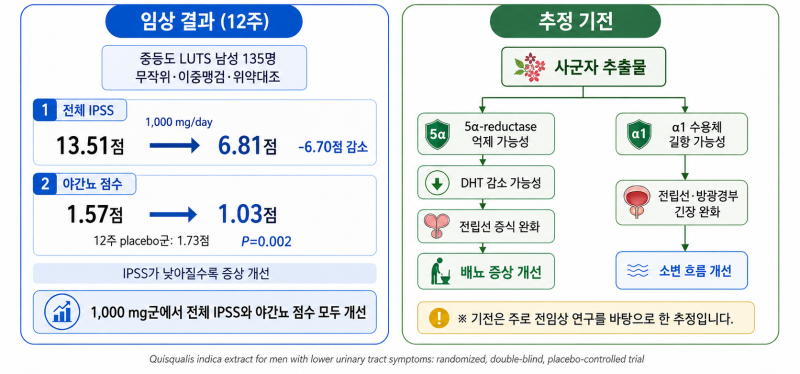 야간뇨 개선에 도움이 되는 영양제 성분