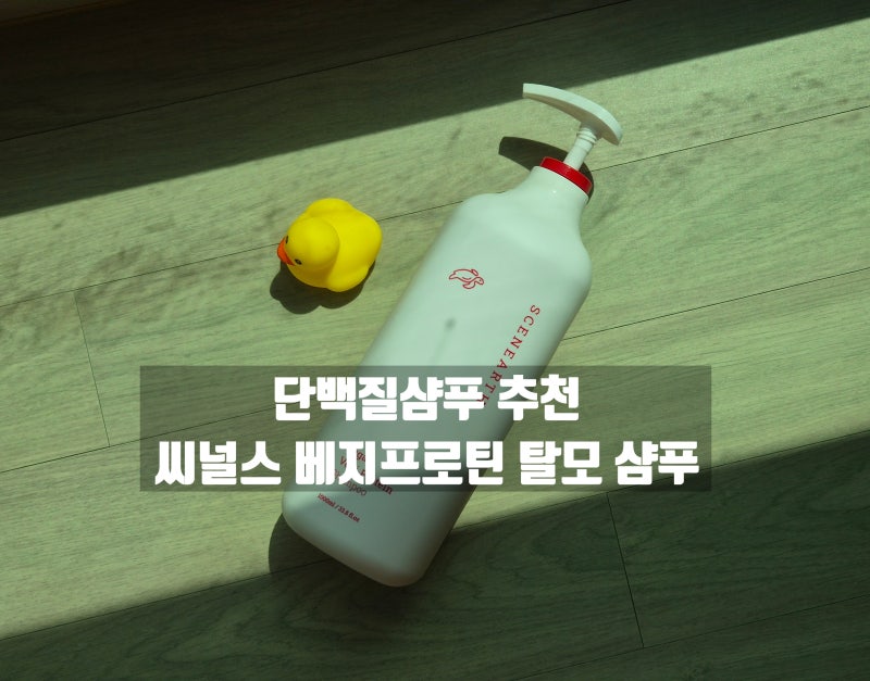 단백질 샴푸 추천 씨널스 베지프로틴 탈모 샴푸 손상모 푸석해진 머릿결 홈케어 솔직후기