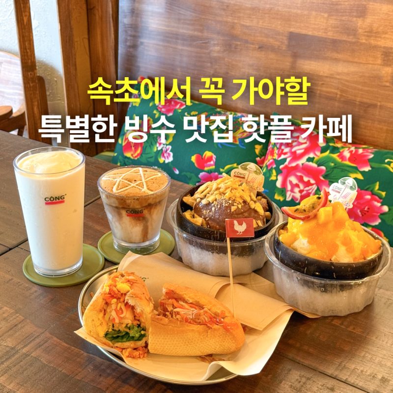 속초 카페 추천! 핫플 디저트 빵집 속초 브런치 카페, 데이트로 딱인 속초 빙수 맛집