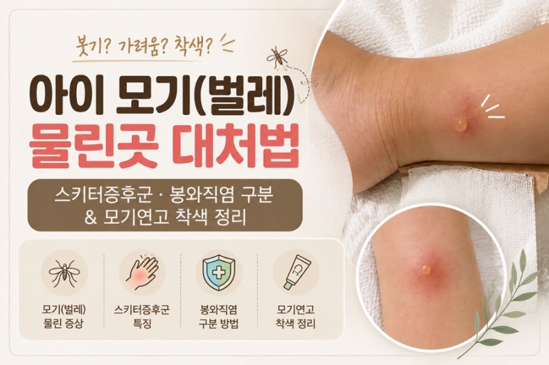 아이 모기(벌레) 물린 곳 수포 물집 대처법 | 스키터증후군,봉와직염 구분 다이소 격자 테이....