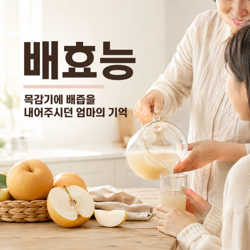 배즙효능 배효능 아픈 목감기 어머니가 생각나는 과일
