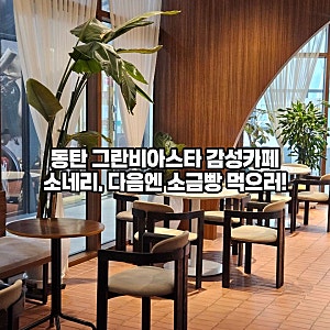 동탄 그란비아스타 카페 소네리 라떼와 소금빵 맛집으로 유명한 감성카페