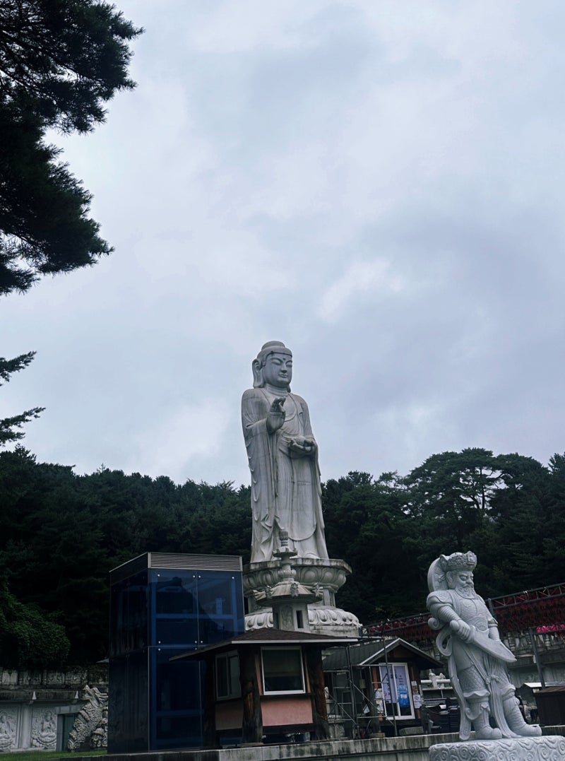 [대구동화사] 여름 대구 근교 짧은 여행, 동화같은 절 동화사라고 알아? 당장 출발!