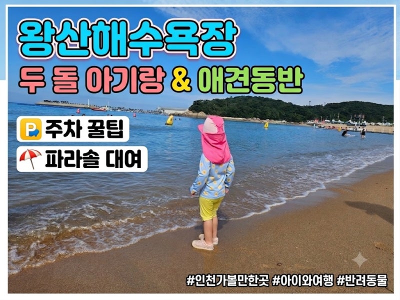 왕산해수욕장 아기랑 애견동반 주말 주차 꿀팁 & 모래놀이