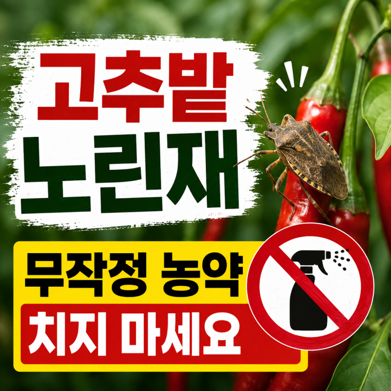 고추 노린재 퇴치법, 8월·9월 수확기에 농약부터 뿌리면 안 되는 이유