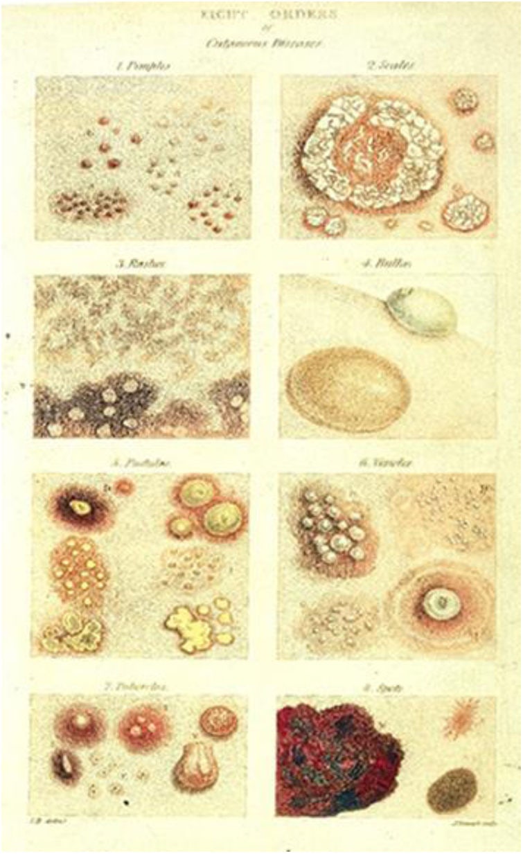 피부과(Dermatology)