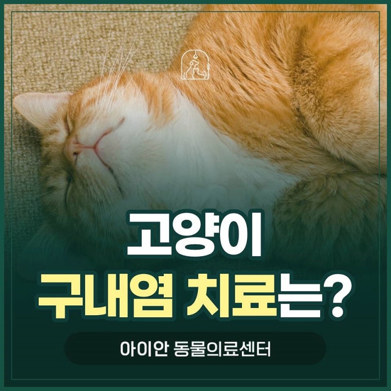[고덕역동물병원] 고양이 구내염 증상과 진단 과정, 발치 치료까지 알아보기