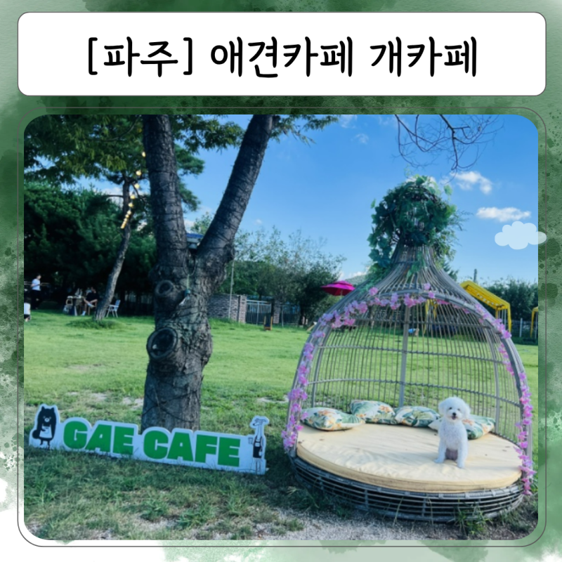 파주 애견카페 1000평 운동장 입짧은햇님이 운영하는 개카페 방문 후기 (15kg 이하)