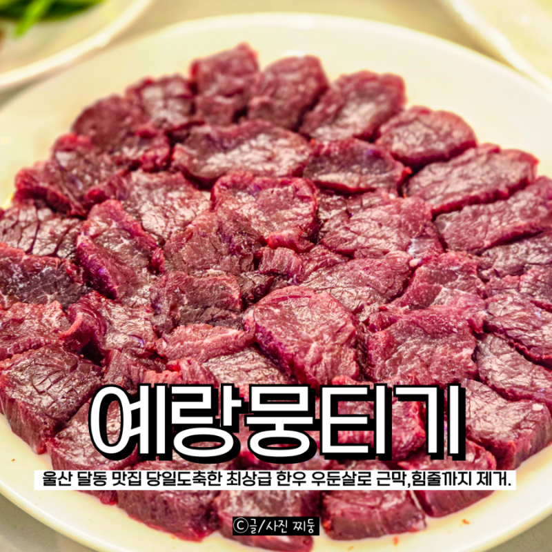 울산 달동 맛집 예랑뭉티기 신선한 뭉티기 오드레기 남구 술집 회식장소
