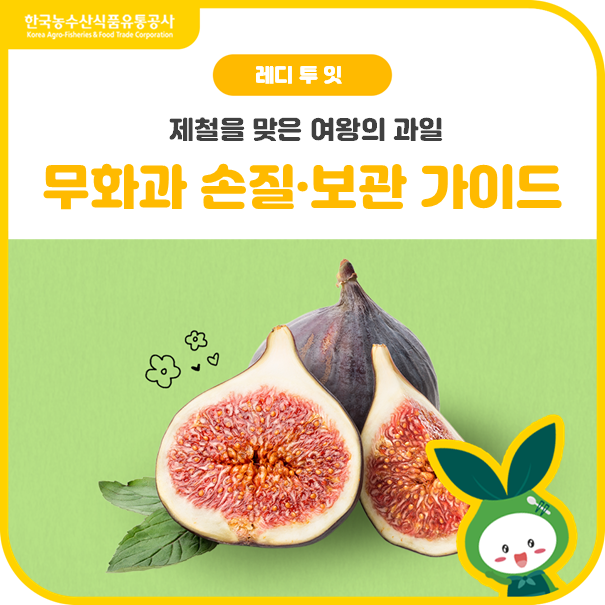 잘 고르고 오래 두고 먹는✨무화과 손질·보관법