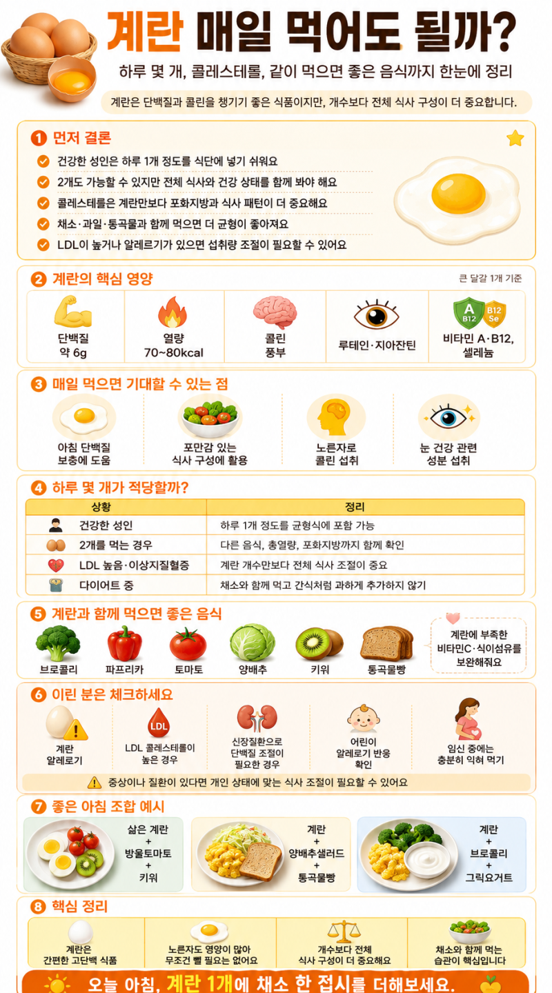계란 매일 먹으면 생기는 변화, 하루 몇 개? 콜레스테롤·주의사항 총정리