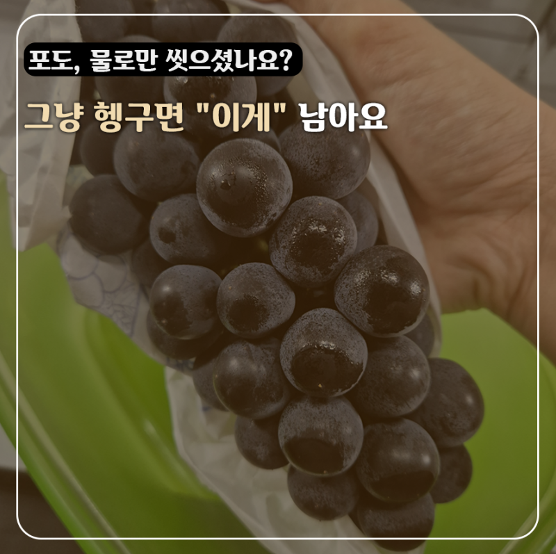 포도 씻을 때 물로만 헹구면 대참사? 베이킹소다,식초로 농약 완벽 제거하는 법