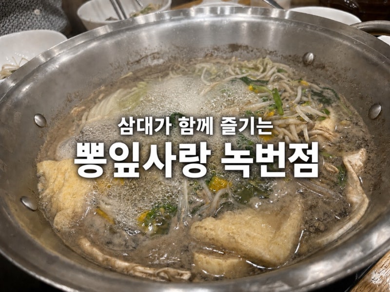 은평구 녹번역 맛집 뽕잎사랑 녹번점, 삼대가 즐기는 소고기샤브샤브