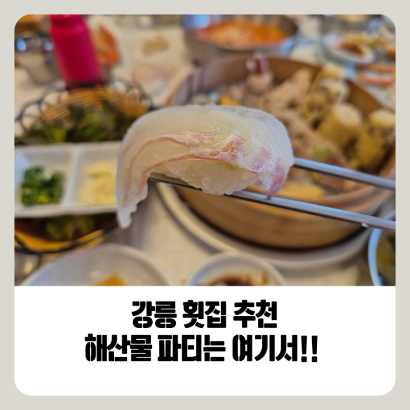 강릉 횟집 추천 강릉 애견동반 아침식사 사천포구 횟집