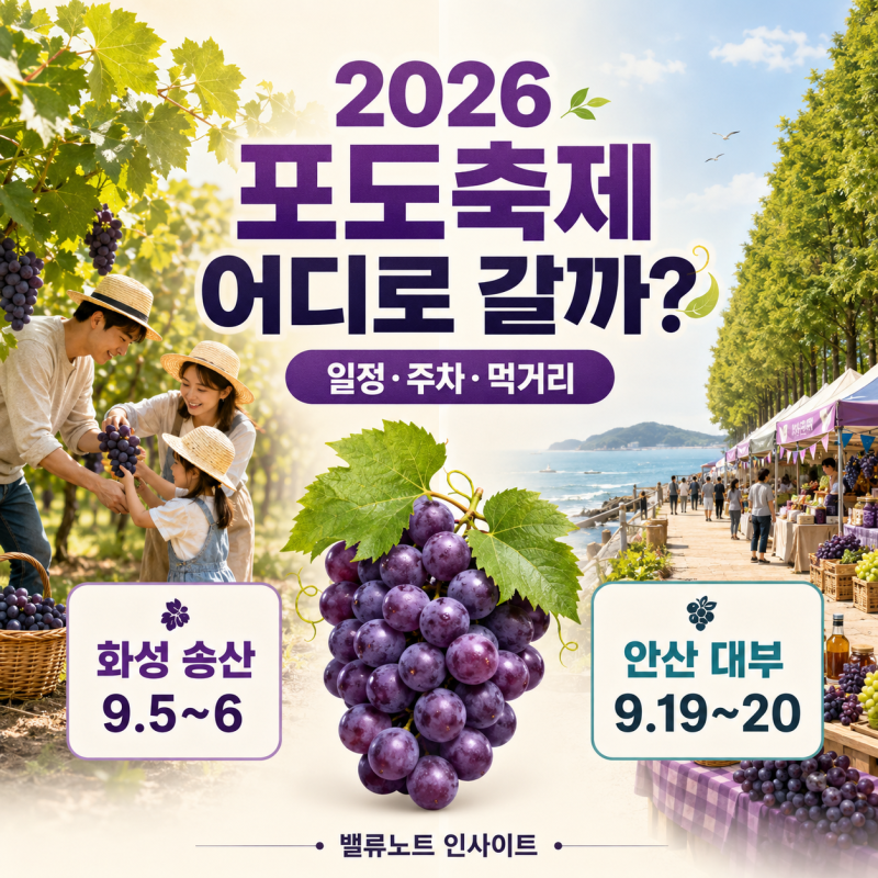 2026 화성 송산포도축제·안산 대부포도축제 언제? 일정·주차·먹거리 총정리