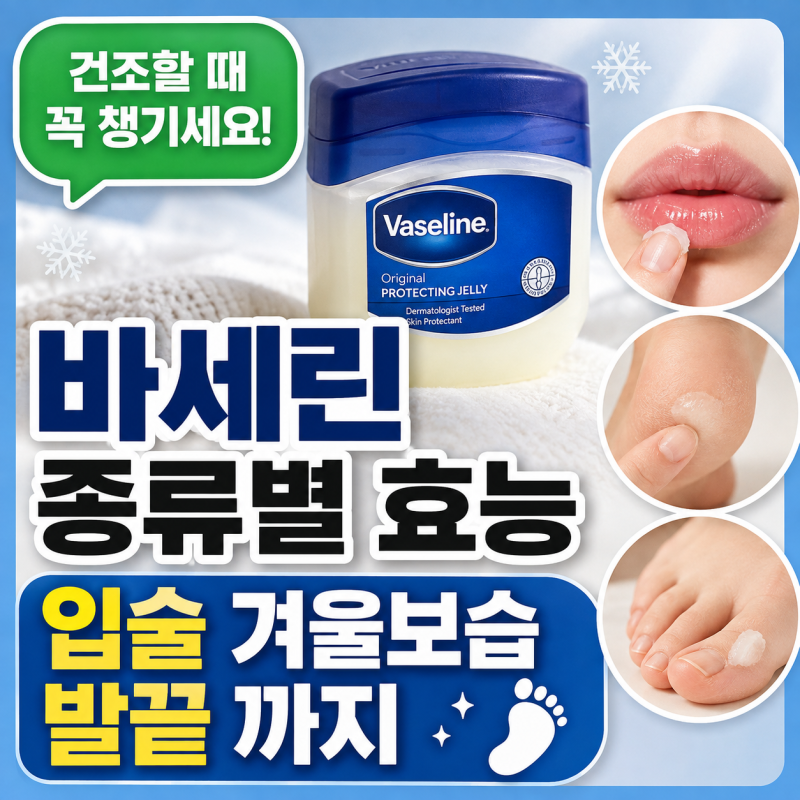 바세린 종류별 효능 입술 겨울보습 발끝 까지