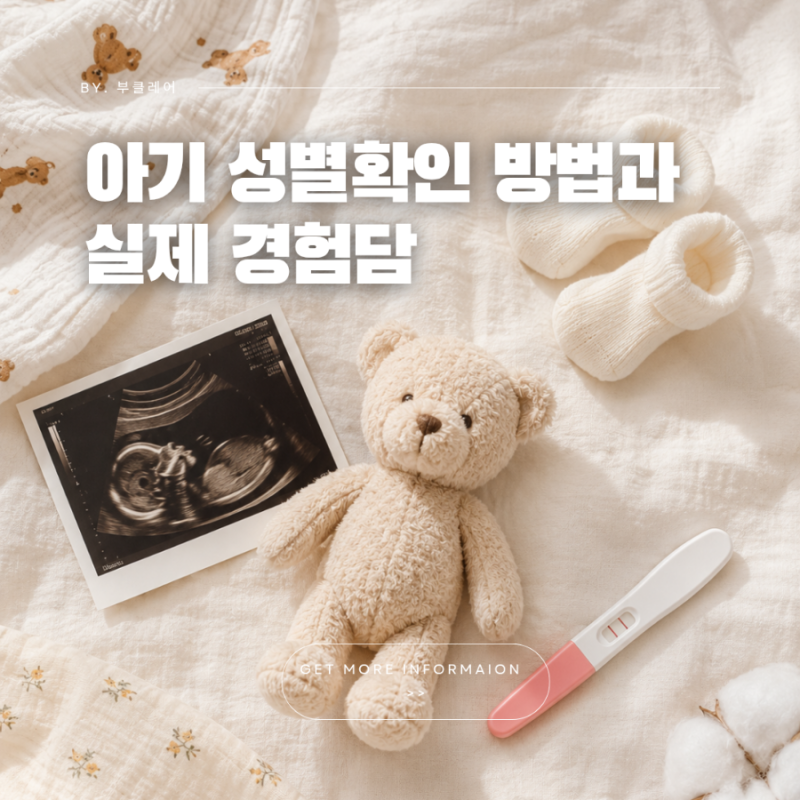 아기 성별 확인하는 방법 각도법 초음파 니프티 경험담 공유