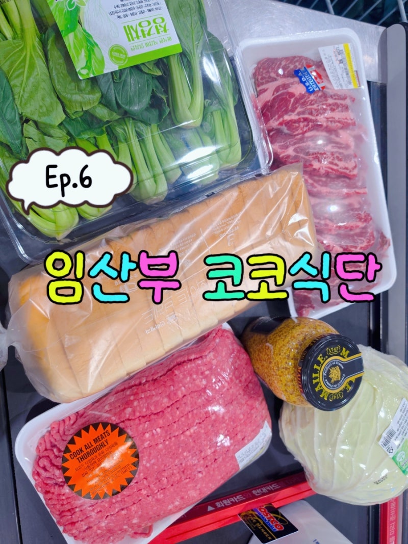[임신일기 #6] 임산부 코스트코 장보기 철분 충전 소고기(척아이롤, 다짐육) & 무띠 토마토 퓨....
