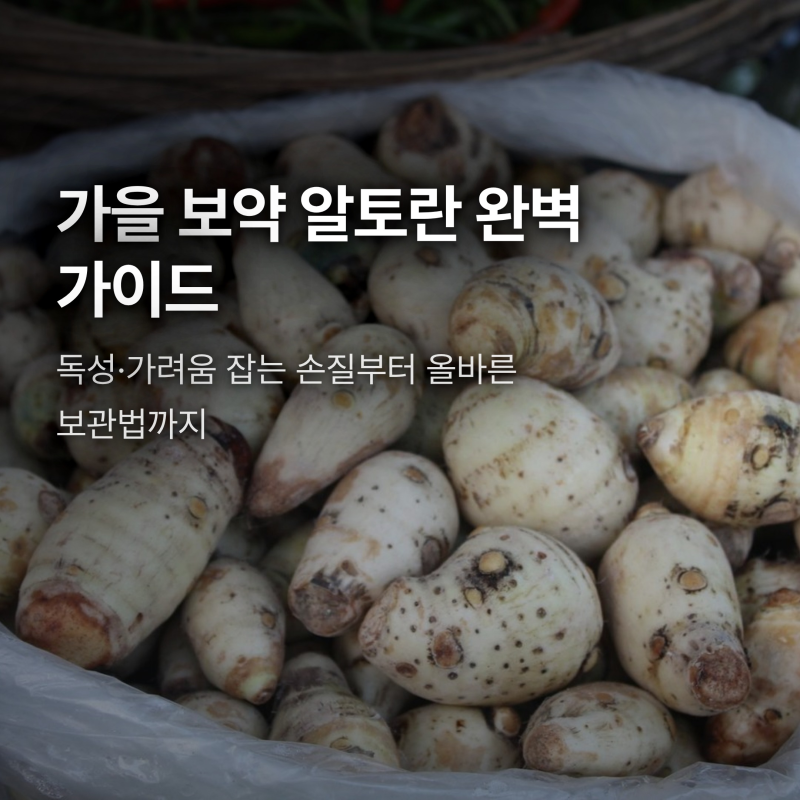 토란 효능과 가려움 없는 손질법, 신선 보관 요령