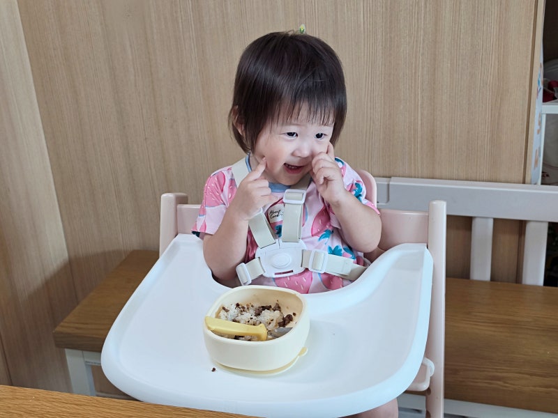 아기 하이체어 스토케 트립트랩 호환 젬베베 실리콘 하네스 유아 안전벨트
