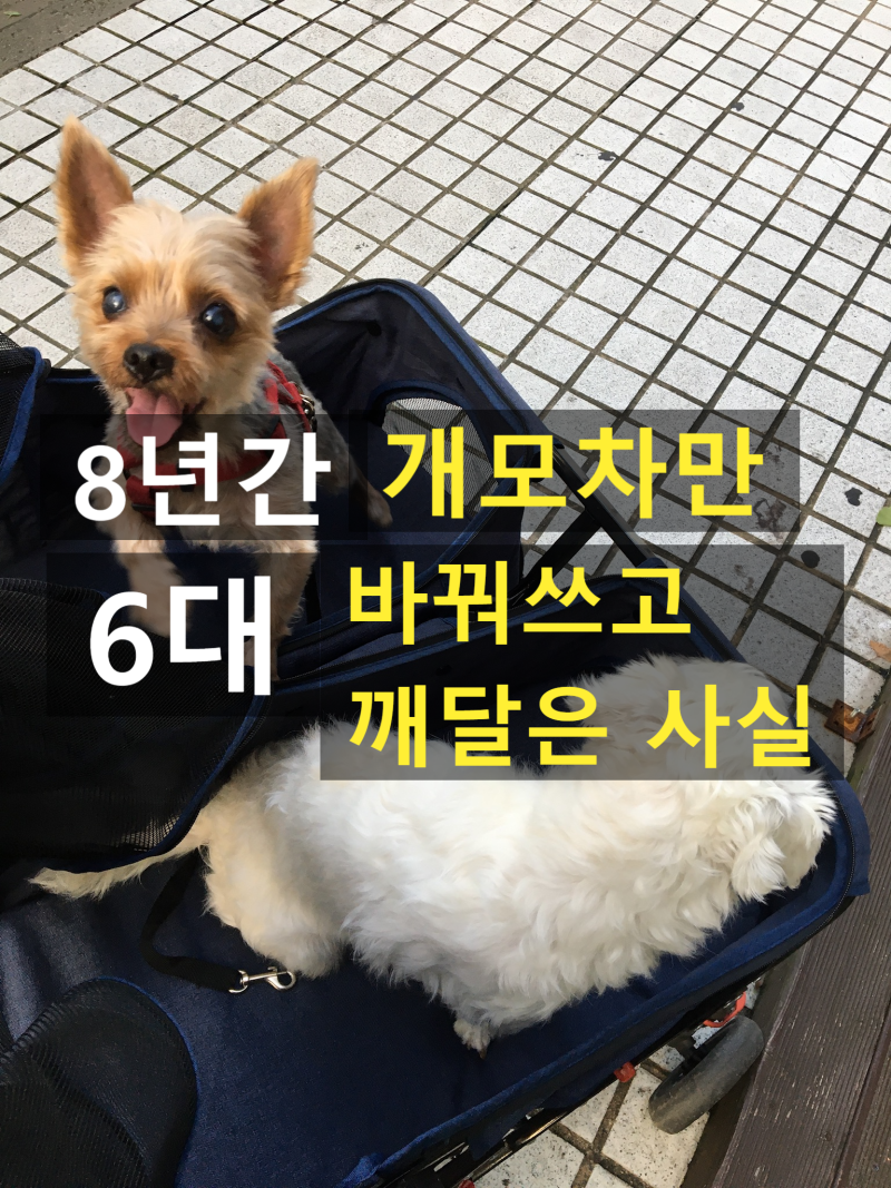 레토 유모차, 가성비 개모차로 중복지출 끝내세요