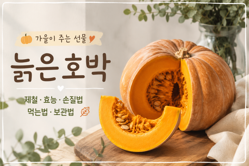늙은호박 제철부터 효능·손질법·먹는법·보관법까지 총정리