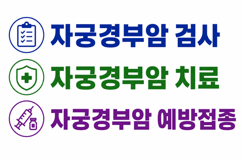 자궁경부암 검사방법부터 치료·예방접종까지, 나이별 HPV 백신 접종 횟수까지 총정리