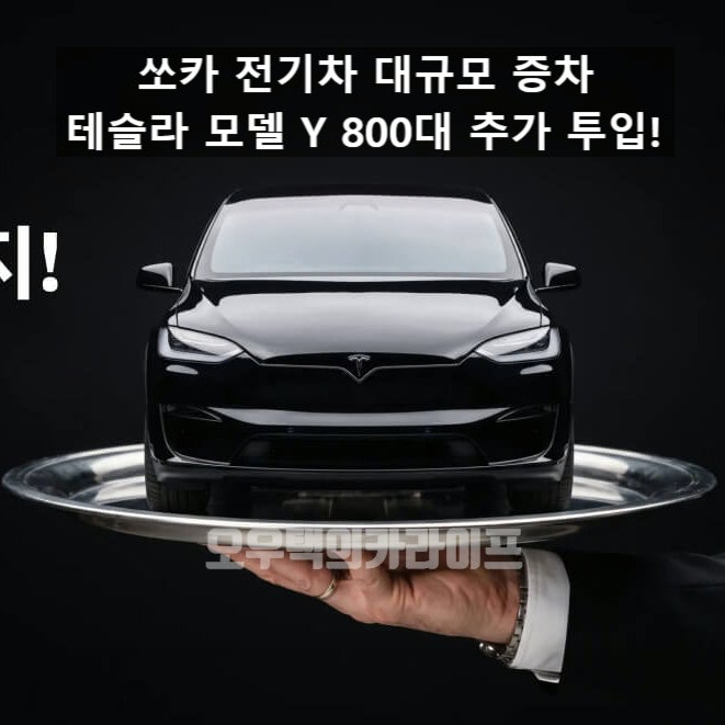 "테슬라 800대 전격 추가?" 쏘카 전기차 대규모 증차 소식과 프로모션 총정리