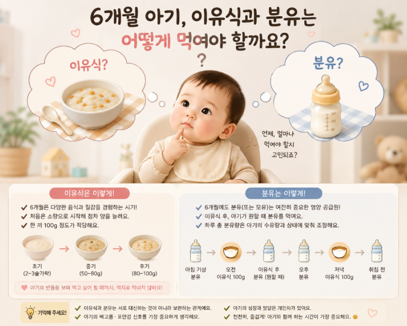 6개월 아기 이유식 시작 양 횟수 분유 수유시간 먹이는 방법