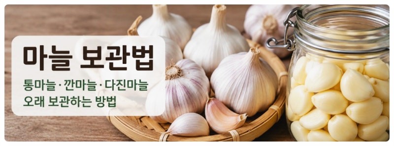 마늘 보관법｜통마늘·깐마늘·다진마늘 오래 보관하는 방법