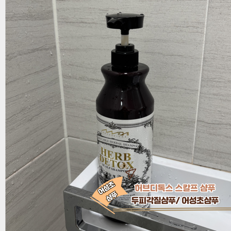 어성초샴푸 추천 ! 환절기 유분고민 싹 해결해주는 두피각질샴푸 후기
