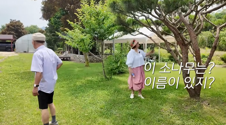 박원숙 임현식 재혼 소문 진짜일까? 데뷔작부터 최근 근황까지 정리