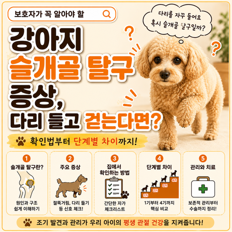 강아지 슬개골 탈구 증상, 다리 들고 걷는다면? 확인법부터 단계별 차이까지