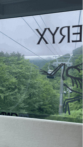 [평창 대관령] 발왕산 케이블카 | 부모님과 가족여행 입장료 할인정보 코스 날씨 확인 꿀팁까....