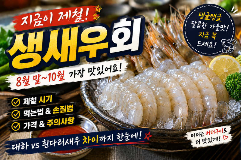 생새우회 제철 언제? 8월·9월·10월 새우 먹는법｜대하·흰다리새우 차이 총정리