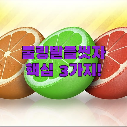 레몬 자몽 쿨링 온더바디 발을씻자 고르기 전 확인할 3가지