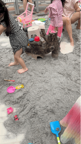 부산 강서구 아이 반려견들과 가기 좋았던 대동숲 카페
