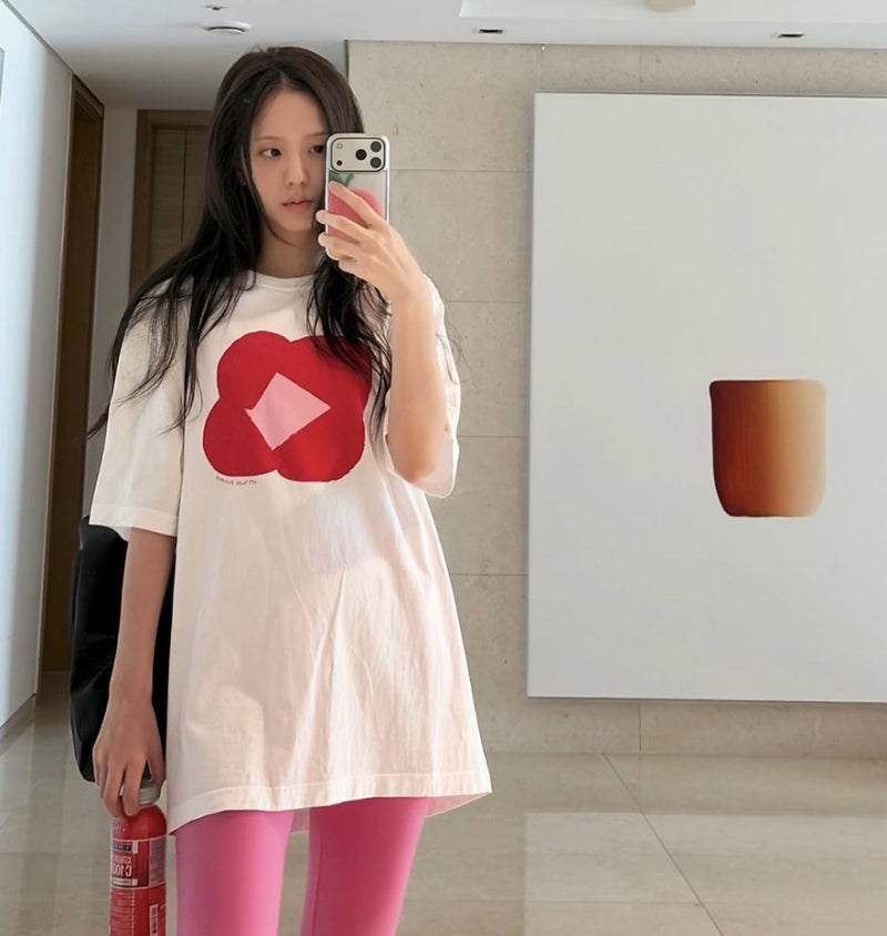 BLACKPINKジスの家に飾られた20億ウォンの絵画…鏡セルフィーが引き起こした前代未聞の事態