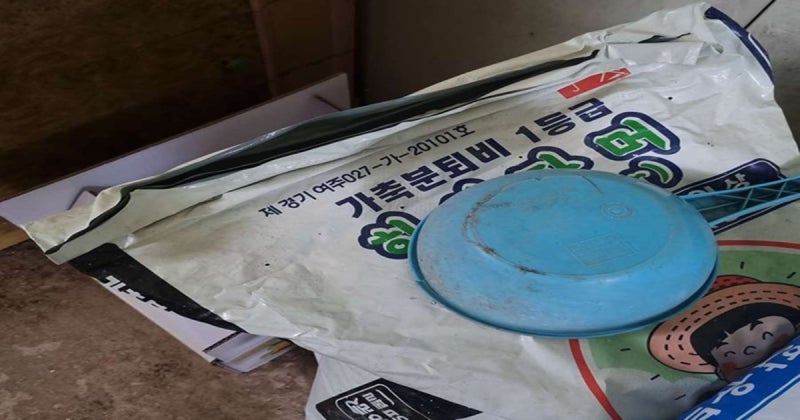 가을 텃밭 병충해 예방하는 천연 유기질 비료와 완숙 퇴비 적정 투입량