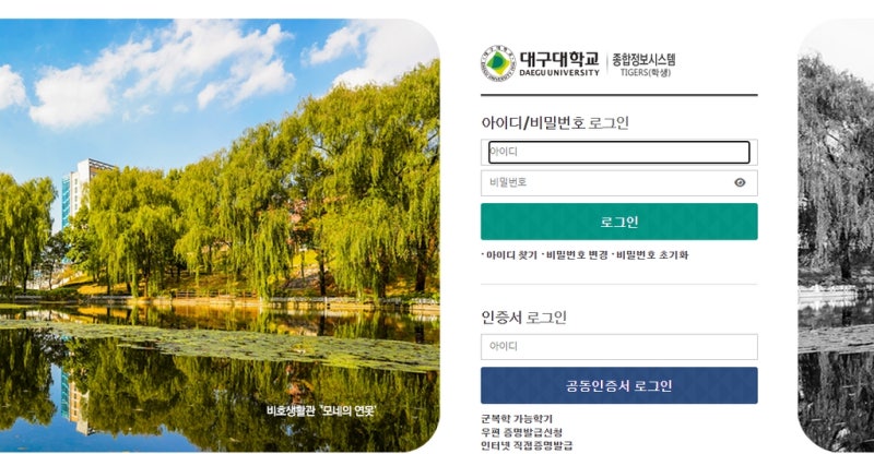 대구대학교 타이거즈 홈페이지 https://m.daegu.ac.kr