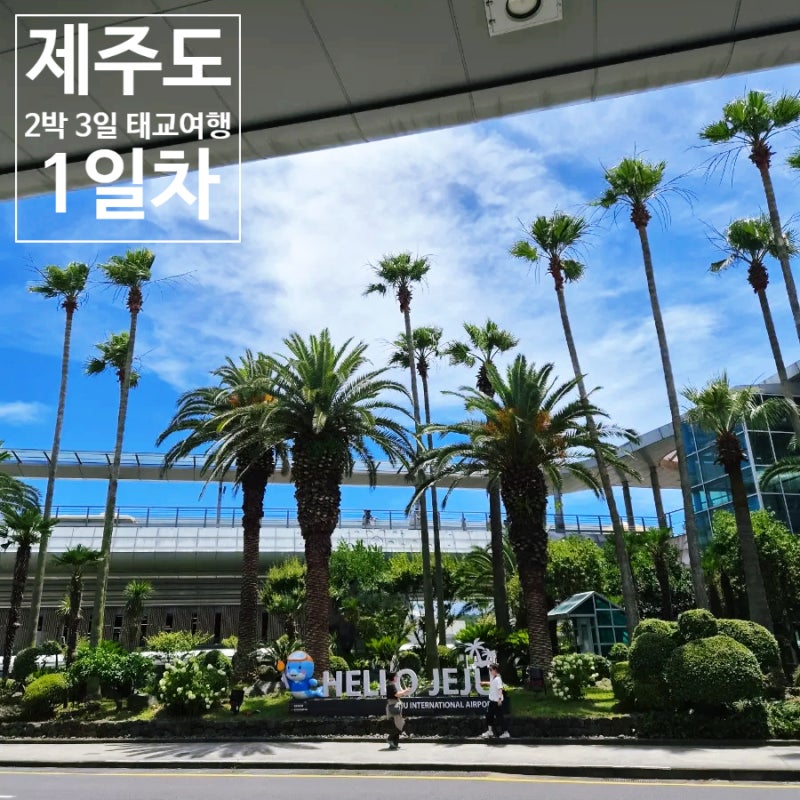 [임신일기] 임신 18주 차, 제주도 2박 3일 태교여행 - 1일차 /테슬라Y, 돌담땅콩국수, 파르나스 ....