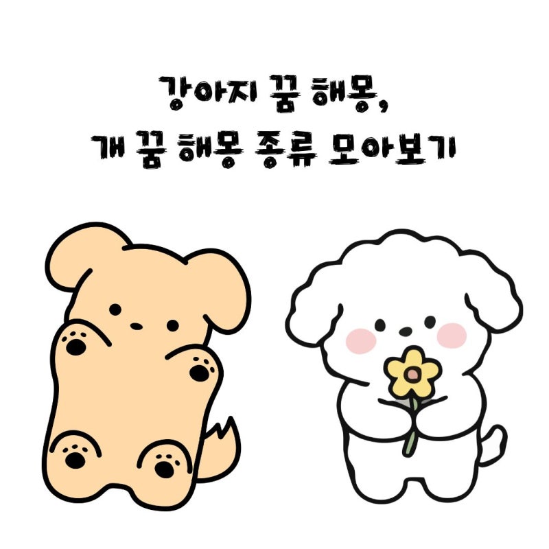 강아지 꿈 해몽, 개 꿈 해몽 종류 모아보기