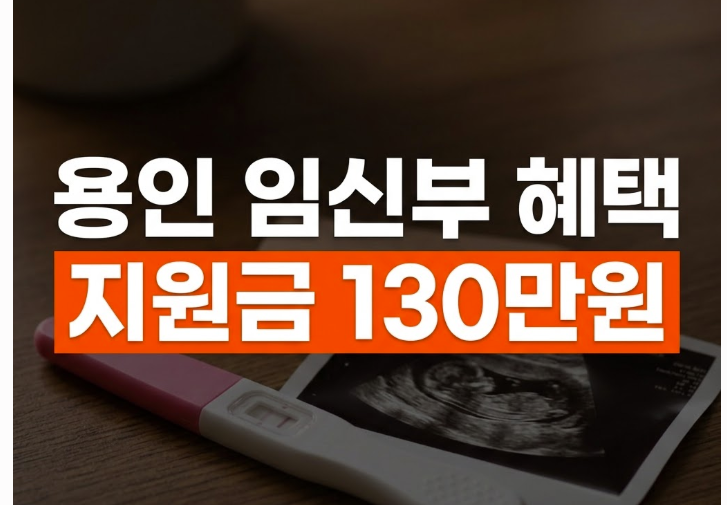 용인 임신부 혜택 총정리｜국가지원금+용인시 지원금 30만원까지 다 모았습니다