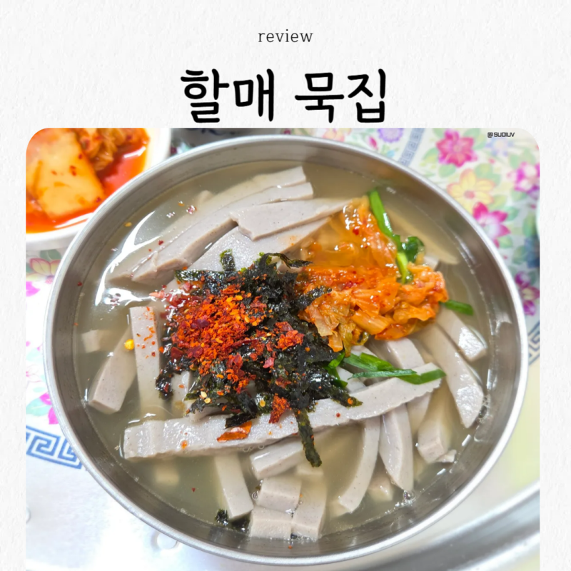 [대구] 월광수변공원 근처 할매 묵집 찐 후기 / 전현무계획 대구편